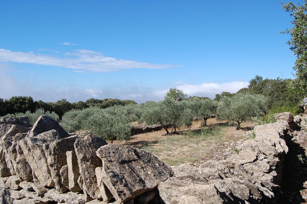 Cypres Du Paradis A Gordes Luaran gambar